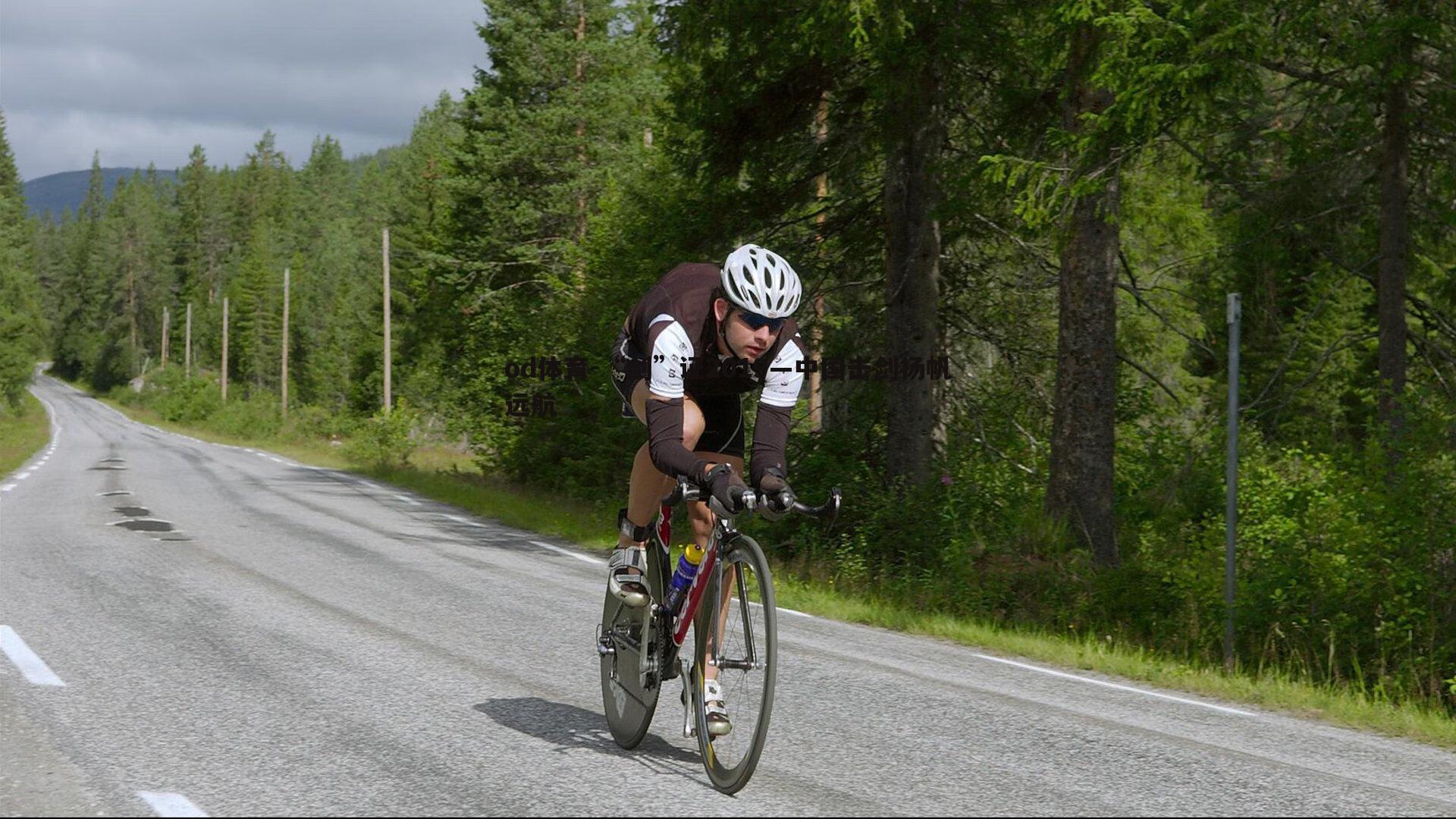 “剑”证2019—中国击剑扬帆远航